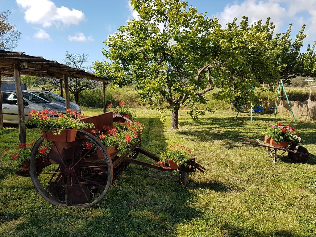 Apartamento Agriturismo S. Agostino Rocchette  Exterior foto